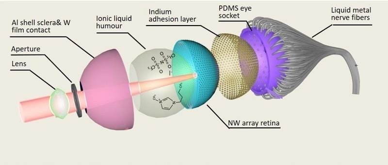 3d-bionic-eye-1.jpg