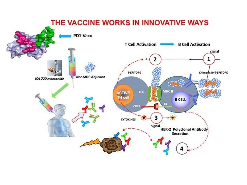 pd1-vaxx.jpg