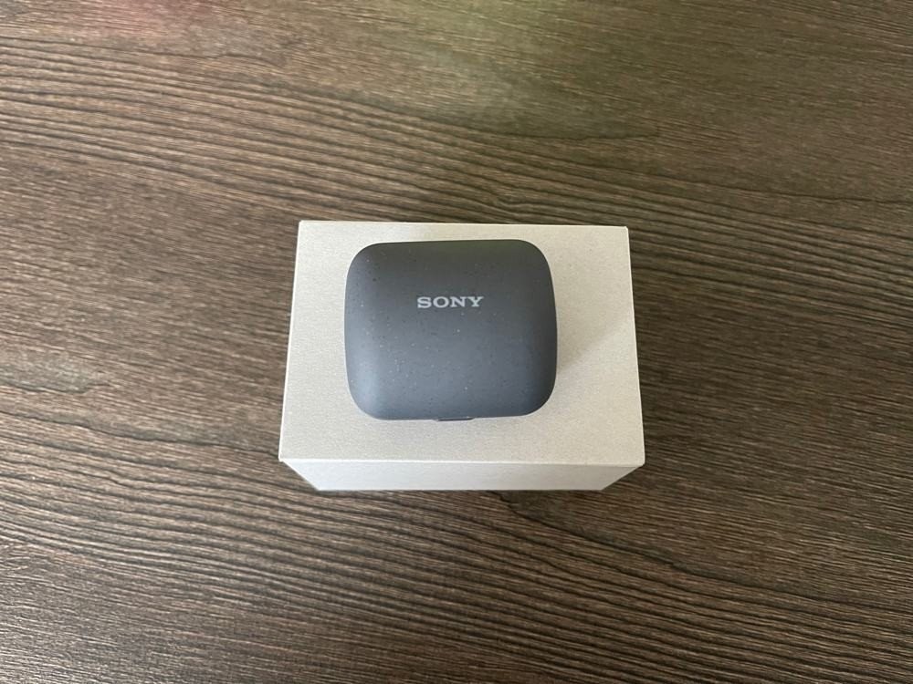 sony-linkbuds-techgear-review-4.jpg