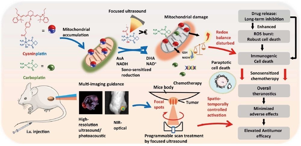 chemo-ultrasound-1.jpg