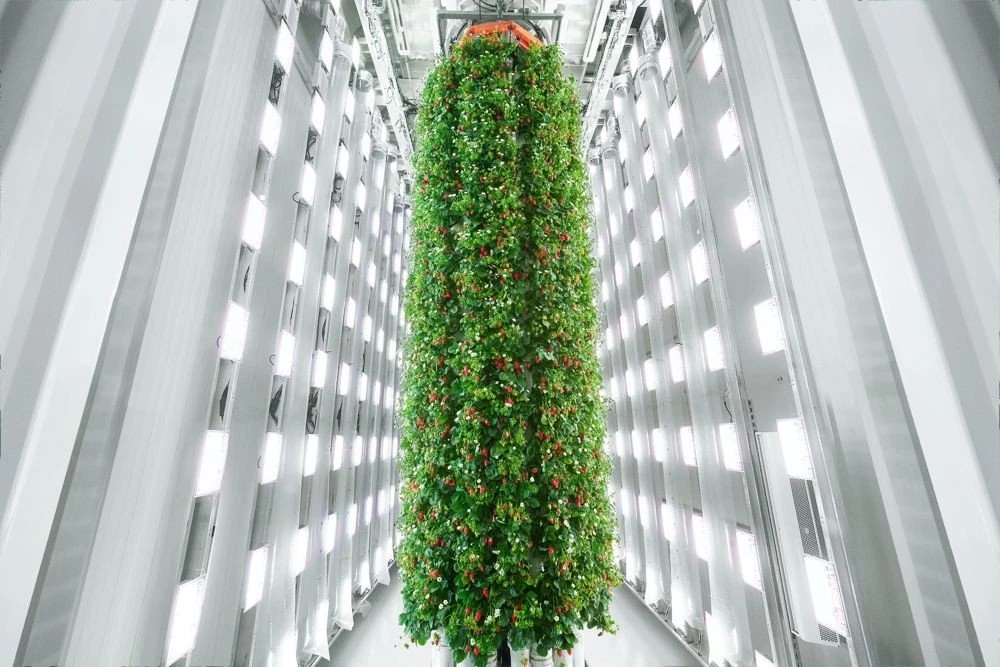 plenty-richmond-indoor-farm.jpg plenty-richmond-indoor-farm.jpg