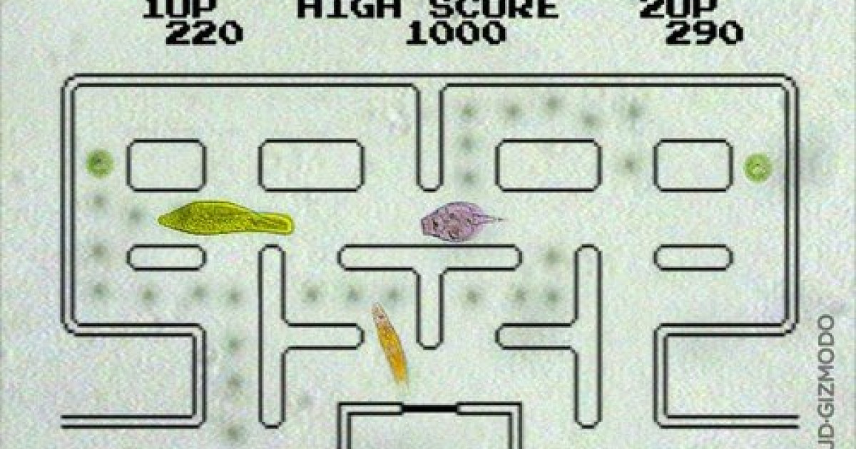 Pac-Mecium: Το πραγματικό Pac-Man με μικροοργανισμούς!