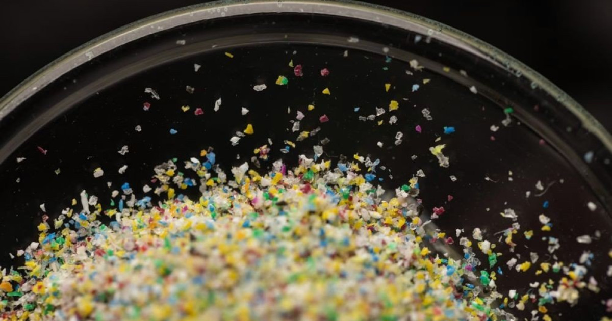 マイクロプラスチックは私たちの脳にも侵入しています…
