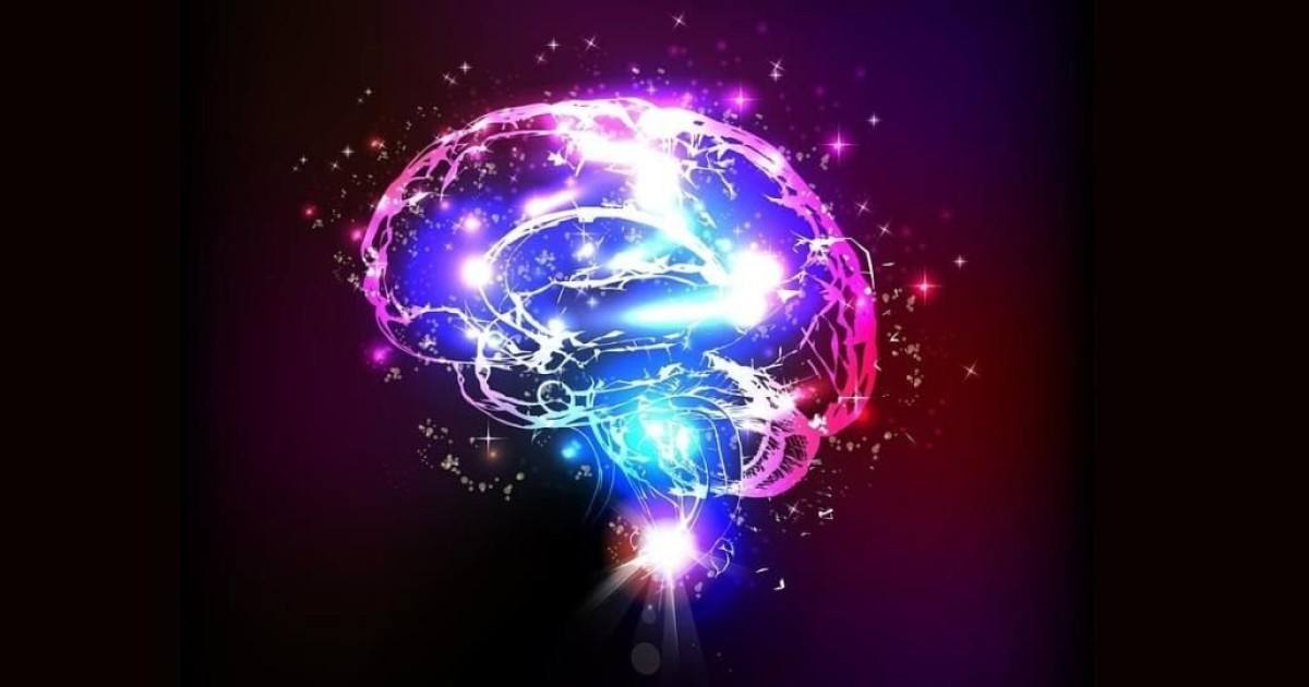 研究者たちは、脳のアストロサイトがどのように記憶を保存しているかを発見した