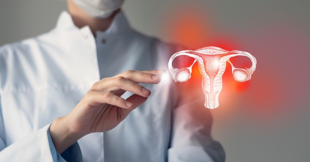 研究者たちは初めて排卵を生で観察することに成功しました。 [Video]
