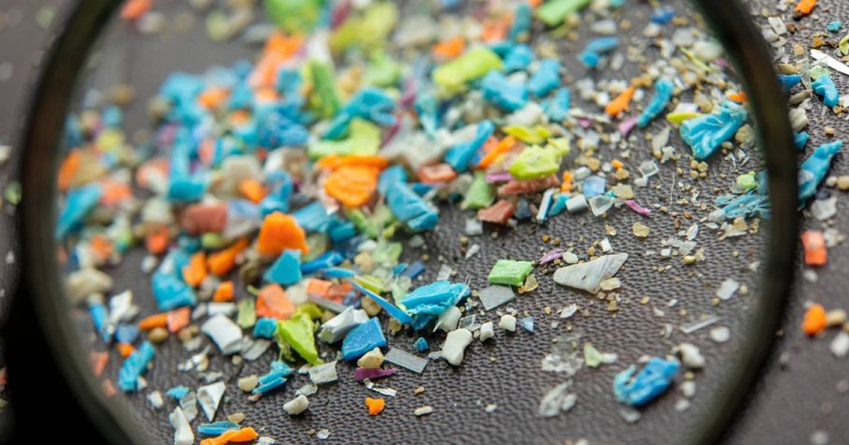 別の研究では、脳に衝撃的な集中が示されています