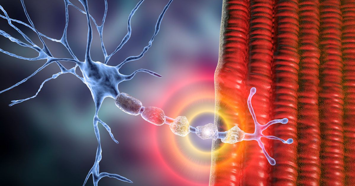 身体は、診断の15年前に「話す」