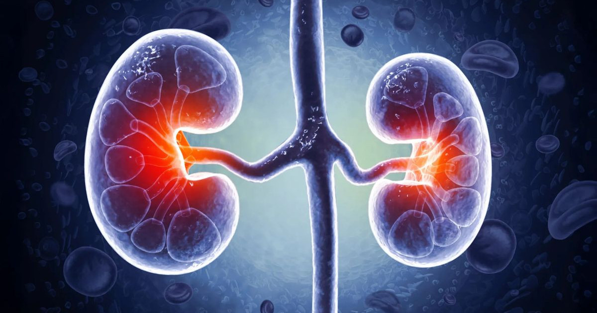 腎臓を破壊する腸の「隠された分子」