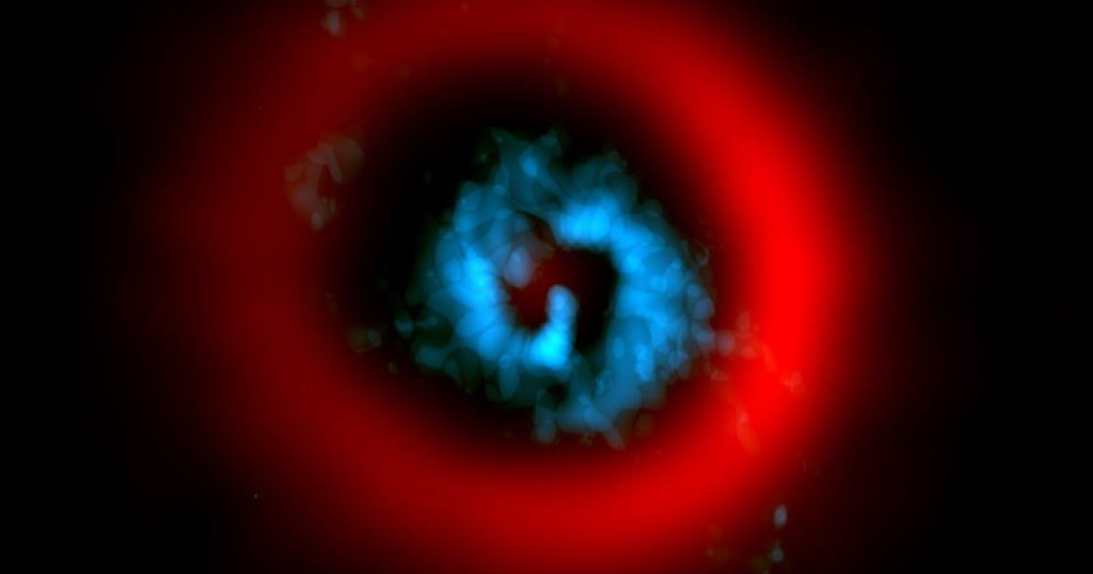 天文学者は、の形成段階で惑星を記録しました