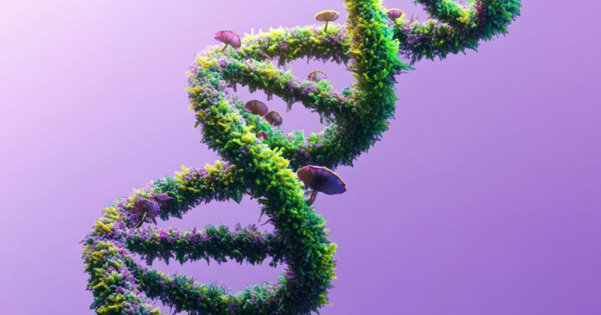 科学者は人間の DNA の最初の 4D マップを作成しました