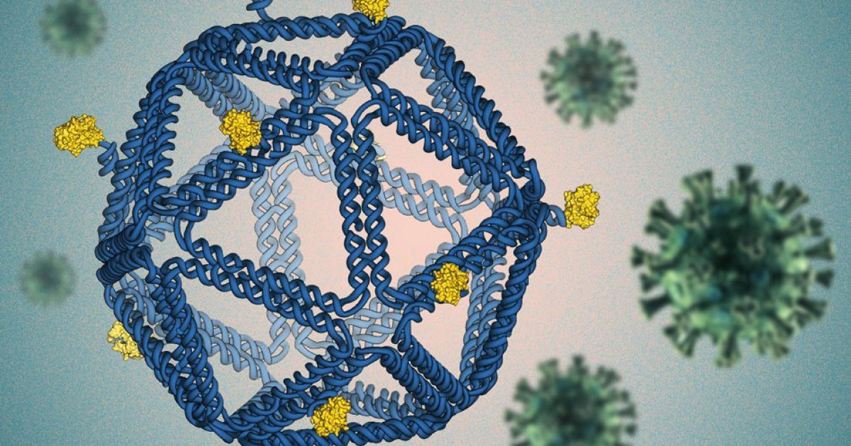 DNA Origami テクノロジーは mRNA を超えます