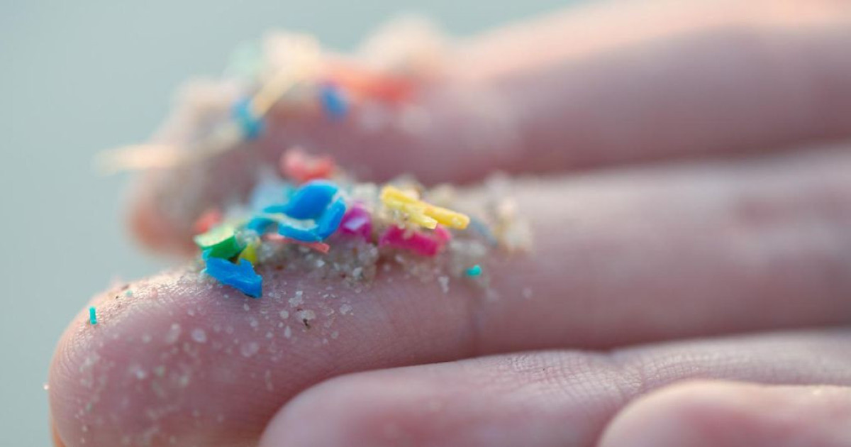 前立腺腫瘍の90%でマイクロプラスチックが確認された