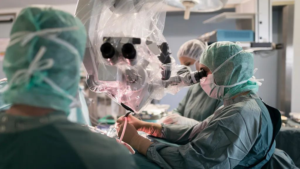 Γιατί η επιστήμη αδυνατεί να πραγματοποιήσει μεταμοσχεύσεις εγκεφάλου