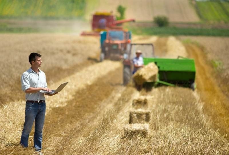 TraceHarvest: Ηλεκτρονική πλατφόρμα για τη γεωργία με βάση το Blockchain