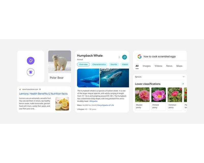 Google Search: Σημαντική αλλαγή στην εμφάνιση σε Android και iOS