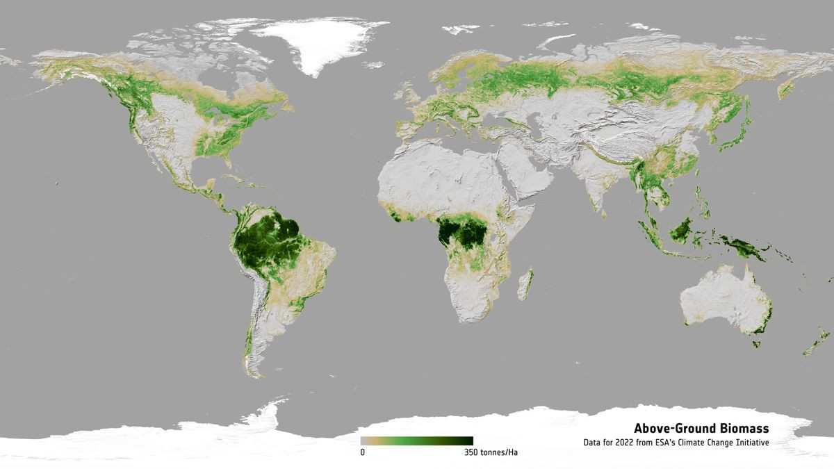 Biomass:
