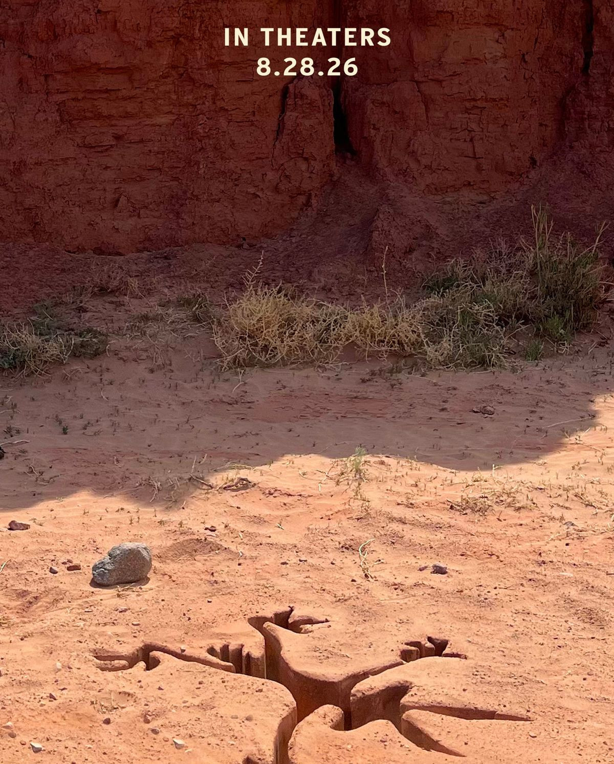 Coyote