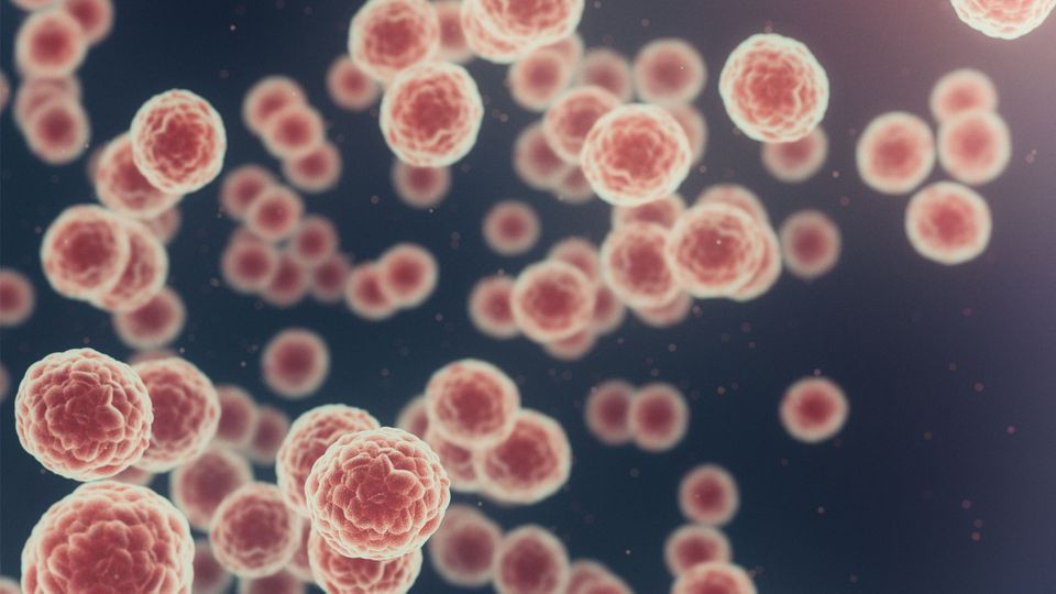 Επιστήμονες