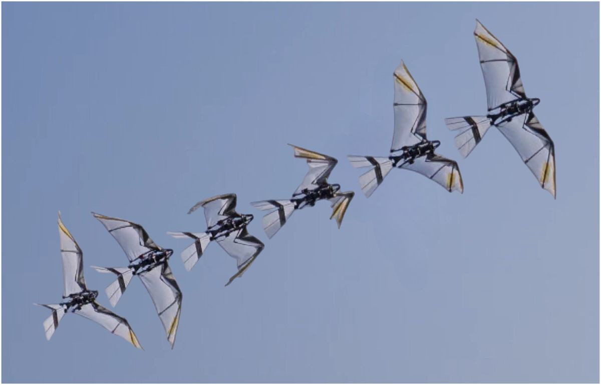 RoboFalcon2.0: