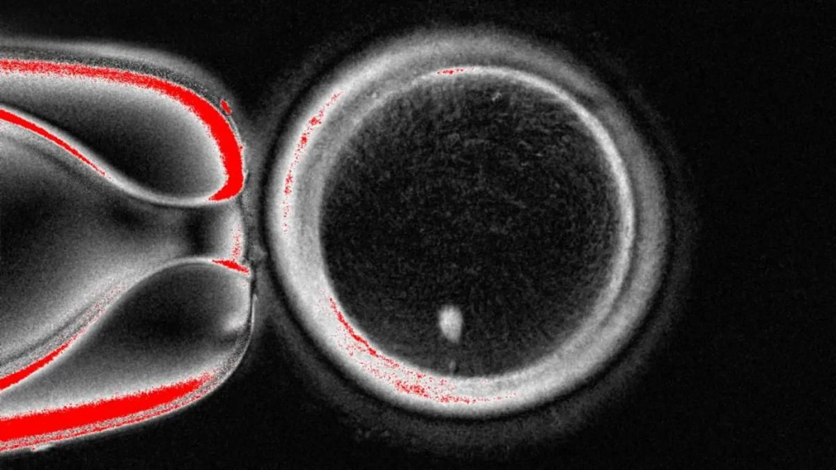 Επιστήμονες