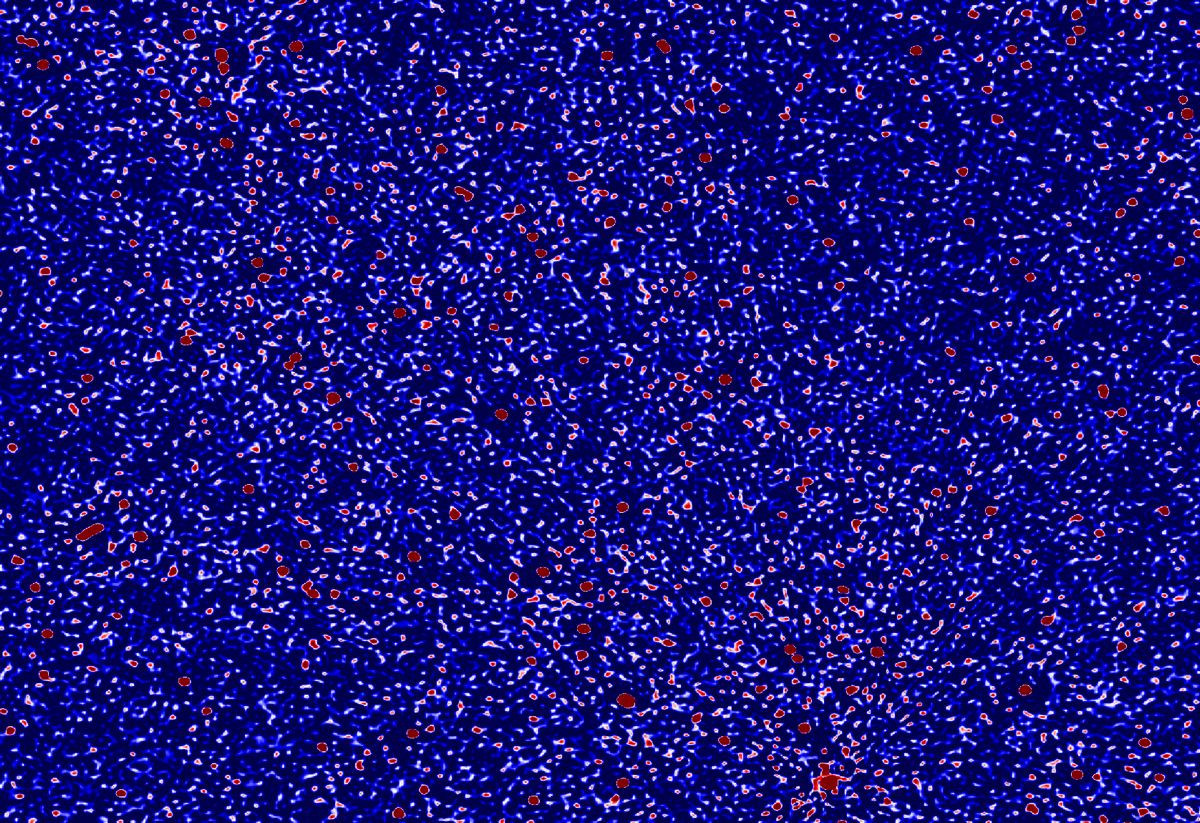 Αστρονόμοι