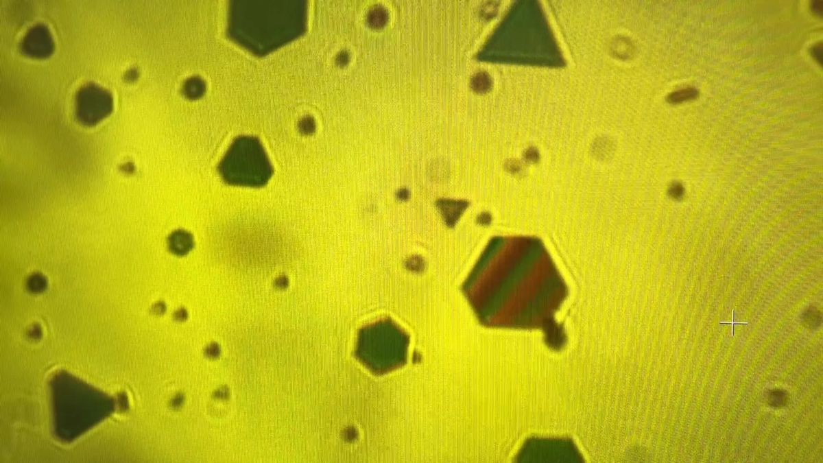 Νιφάδες-αισθητήρες