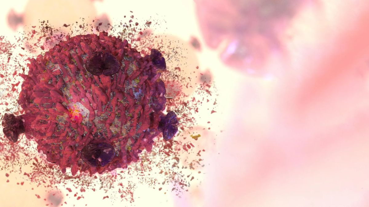 &Nu;&alpha;&nu;&omicron;&sigma;&omega;&mu;&alpha;&tau;ί&delta;&iota;&alpha;