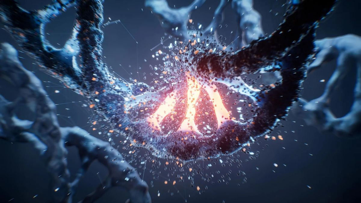 &Kappa;&alpha;&rho;&kappa;ί&nu;&omicron;&sigmaf;: