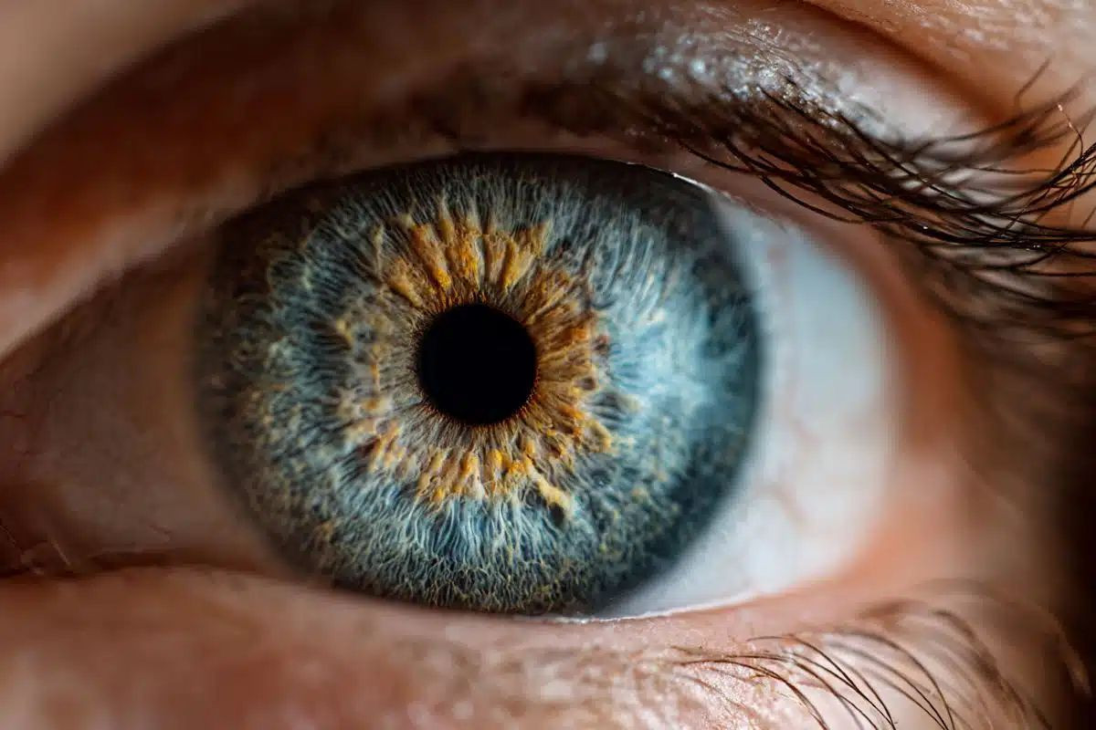 &Beta;&iota;&omicron;&epsilon;&kappa;&tau;ύ&pi;&omega;&sigma;&eta;