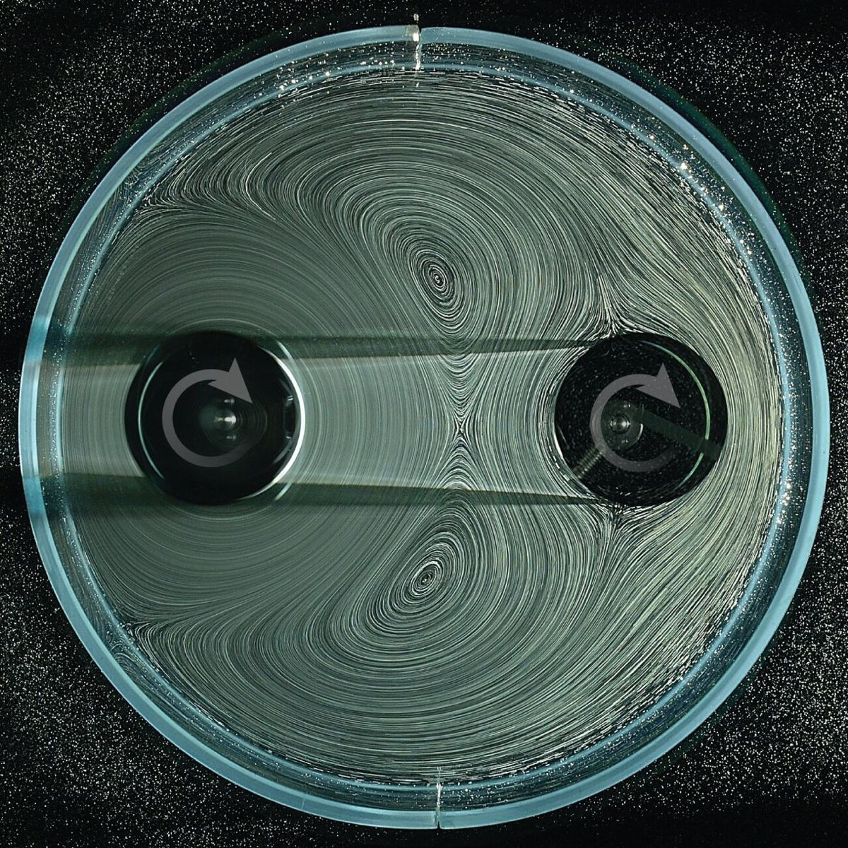 &Kappa;ί&nu;&eta;&sigma;&eta;