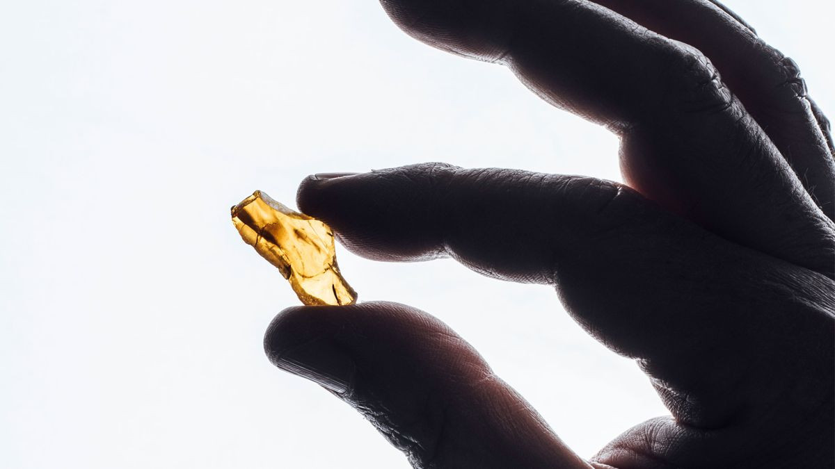 &Phi;&upsilon;&sigma;&iota;&kappa;&omicron;ί