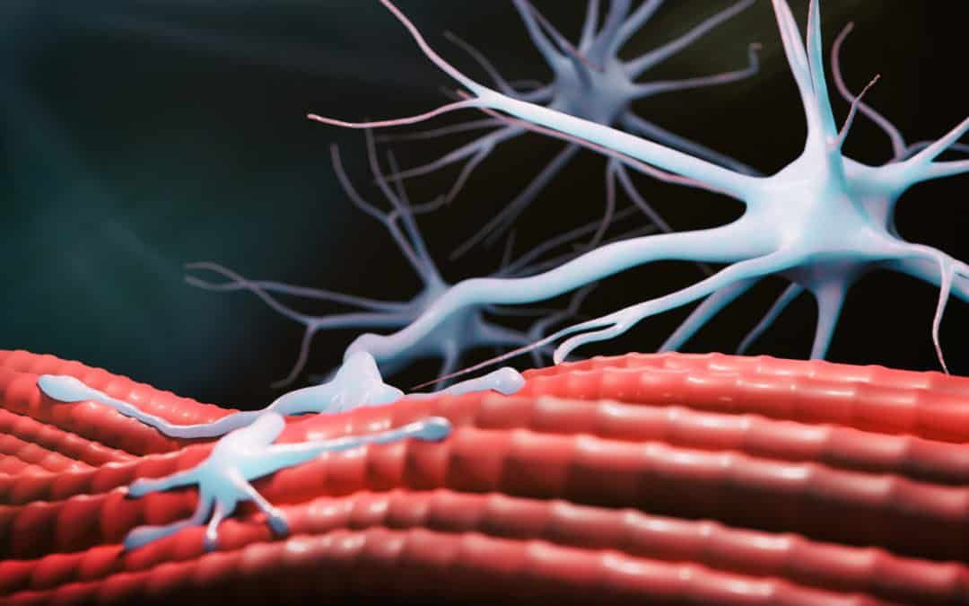 &laquo;&Epsilon;&lambda;&iota;&xi;ή&rho;&iota;&omicron;&raquo;