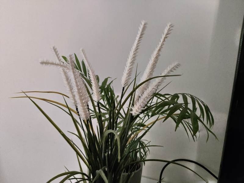 OnePlus 8T Review: Απίστευτη οθόνη, υψηλές επιδόσεις και ταχύτατη φόρτιση OnePlus 8T Review: Απίστευτη οθόνη, υψηλές επιδόσεις και ταχύτατη φόρτιση
