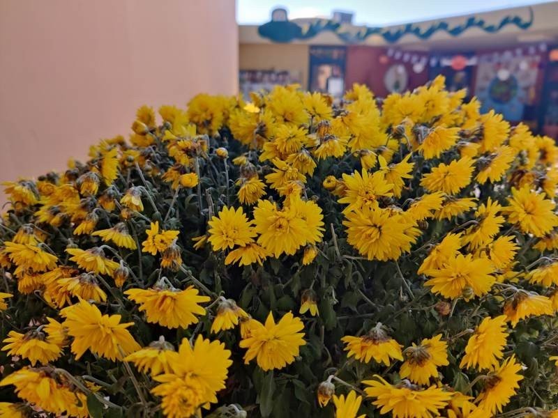OnePlus 8T Review: Απίστευτη οθόνη, υψηλές επιδόσεις και ταχύτατη φόρτιση OnePlus 8T Review: Απίστευτη οθόνη, υψηλές επιδόσεις και ταχύτατη φόρτιση