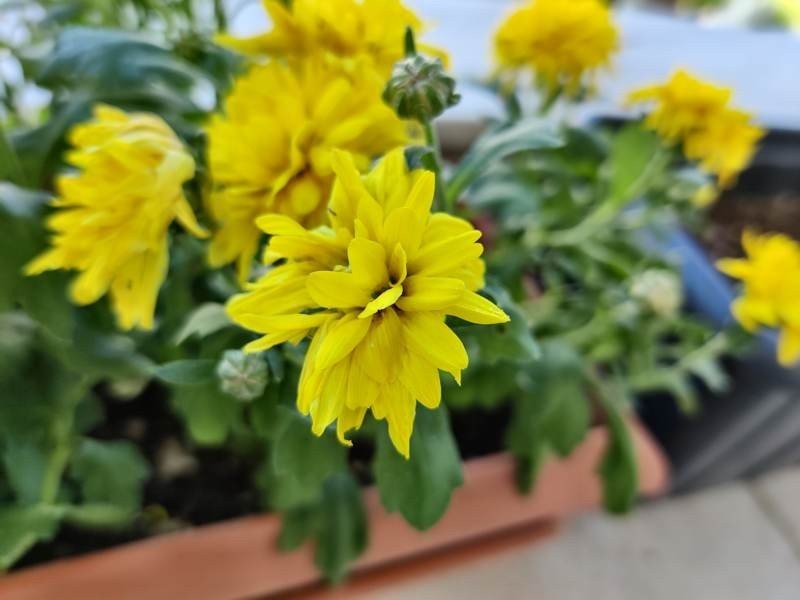 OnePlus 8T Review: Απίστευτη οθόνη, υψηλές επιδόσεις και ταχύτατη φόρτιση OnePlus 8T Review: Απίστευτη οθόνη, υψηλές επιδόσεις και ταχύτατη φόρτιση