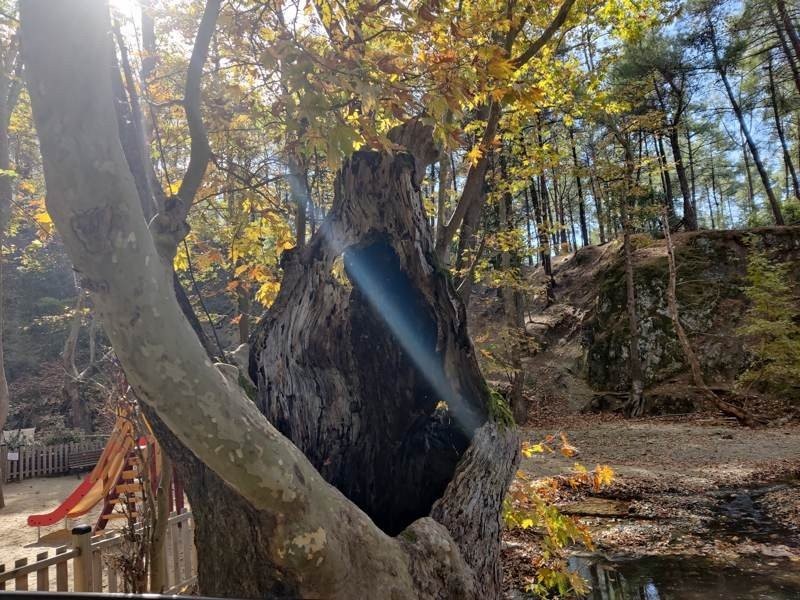 OnePlus 8T Review: Απίστευτη οθόνη, υψηλές επιδόσεις και ταχύτατη φόρτιση OnePlus 8T Review: Απίστευτη οθόνη, υψηλές επιδόσεις και ταχύτατη φόρτιση