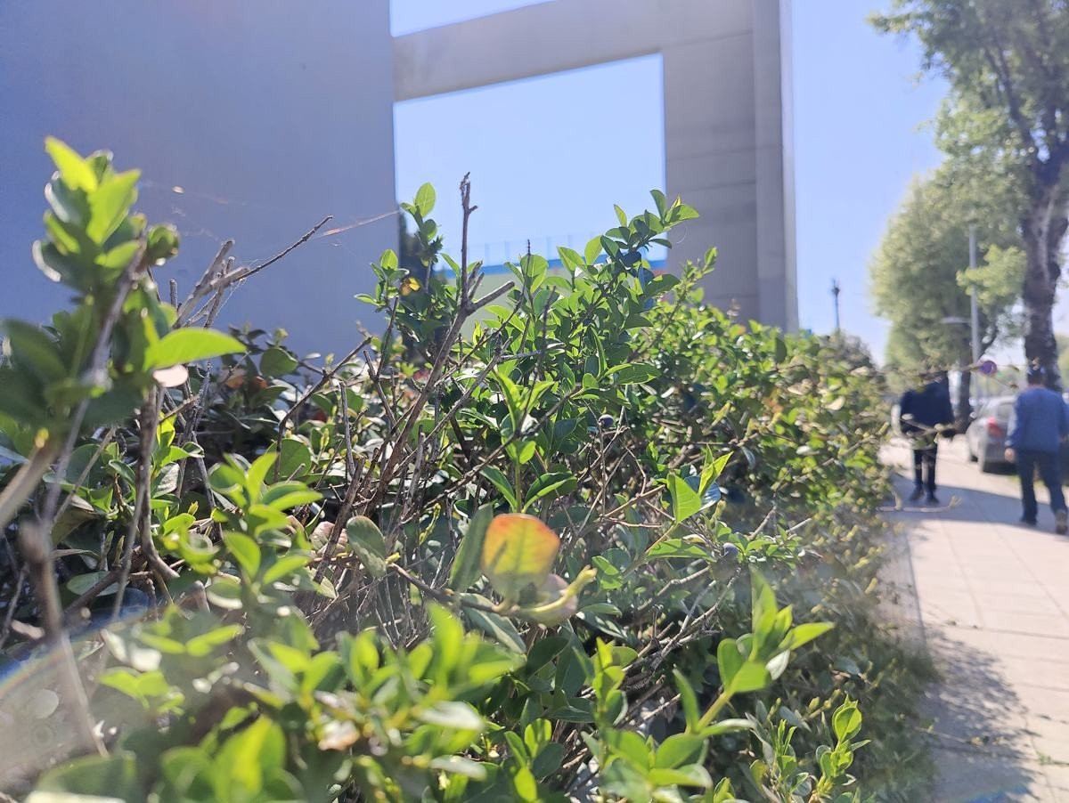 OnePlus 9 Pro 5G Review: Βάζει φωτιά στην premium κατηγορία OnePlus 9 Pro 5G Review: Βάζει φωτιά στην premium κατηγορία