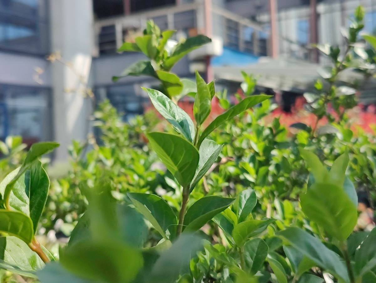 OnePlus 9 Pro 5G Review: Βάζει φωτιά στην premium κατηγορία OnePlus 9 Pro 5G Review: Βάζει φωτιά στην premium κατηγορία