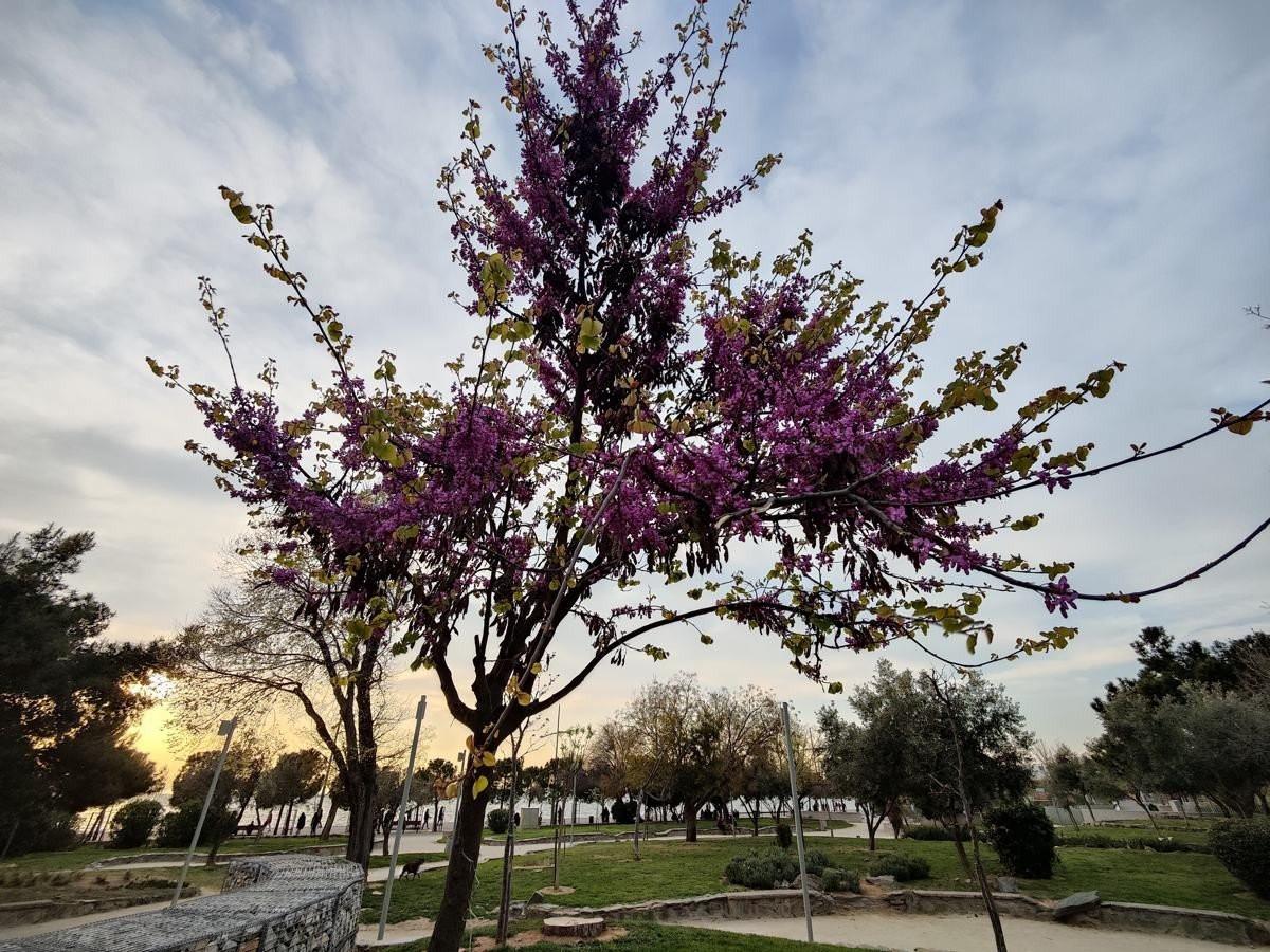 OnePlus 9 Pro 5G Review: Βάζει φωτιά στην premium κατηγορία OnePlus 9 Pro 5G Review: Βάζει φωτιά στην premium κατηγορία