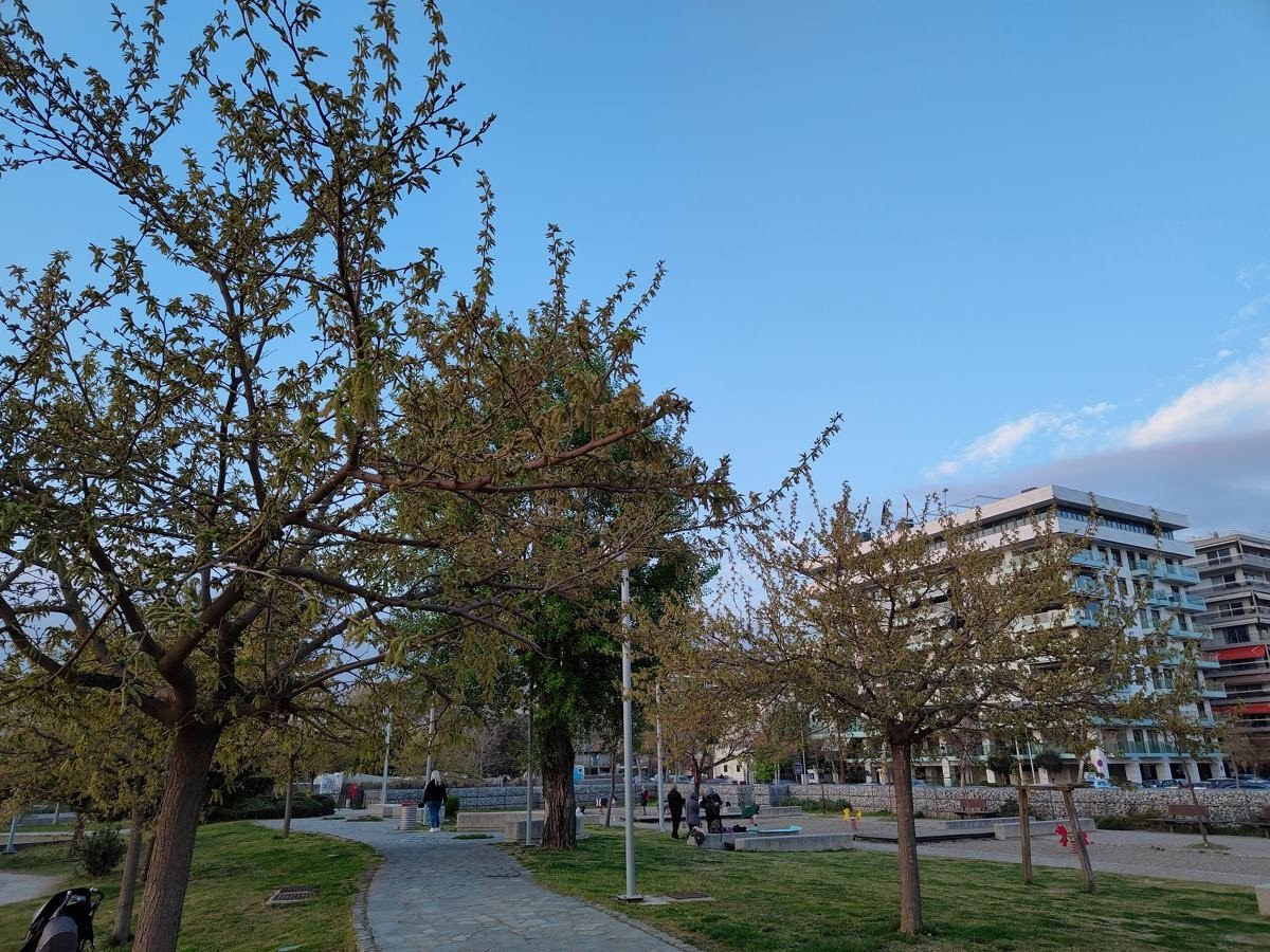 realme 8 Pro Review: Μαγεία στη mid-range κατηγορία με κάμερα 108MP! realme 8 Pro Review: Μαγεία στη mid-range κατηγορία με κάμερα 108MP!