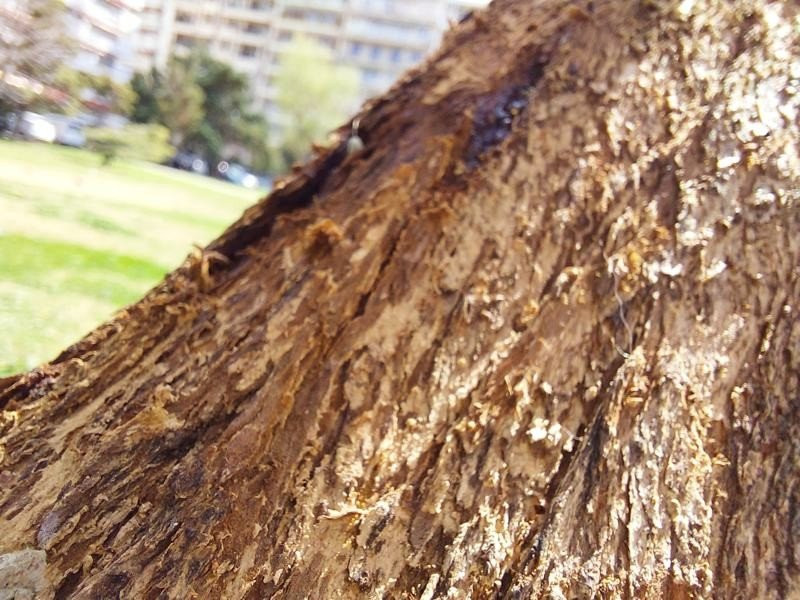Samsung Galaxy A52 5G Review: Σπουδαία επιλογή, αλλά με σκληρό ανταγωνισμό Samsung Galaxy A52 5G Review: Σπουδαία επιλογή, αλλά με σκληρό ανταγωνισμό
