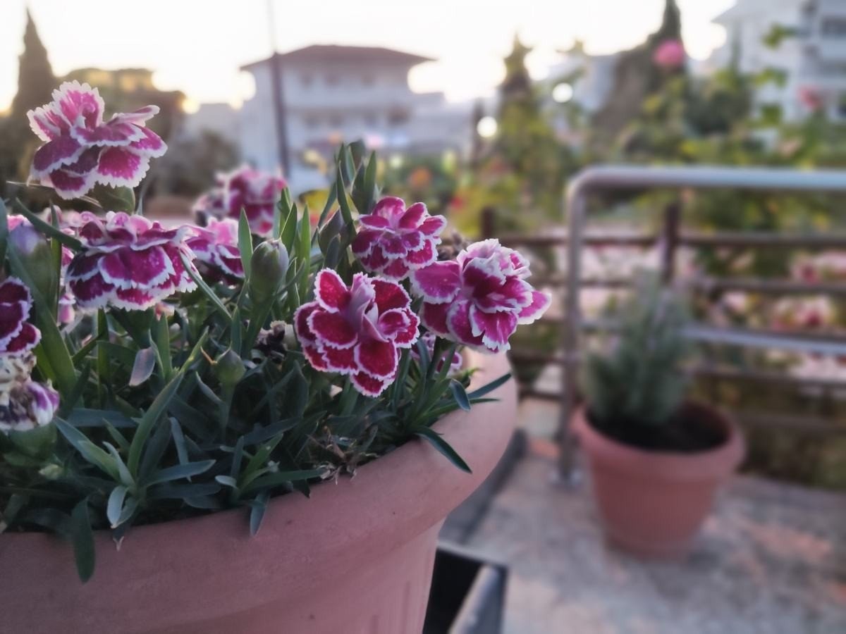 POCO F3 Review: Premium ισχύς και εξαιρετική οθόνη σε φοβερή τιμή POCO F3 Review: Premium ισχύς και εξαιρετική οθόνη σε φοβερή τιμή