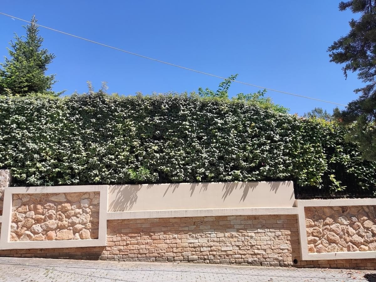 POCO F3 Review: Premium ισχύς και εξαιρετική οθόνη σε φοβερή τιμή POCO F3 Review: Premium ισχύς και εξαιρετική οθόνη σε φοβερή τιμή