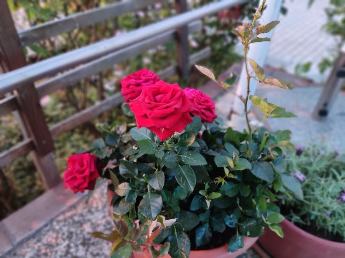 POCO F3 Review: Premium ισχύς και εξαιρετική οθόνη σε φοβερή τιμή POCO F3 Review: Premium ισχύς και εξαιρετική οθόνη σε φοβερή τιμή