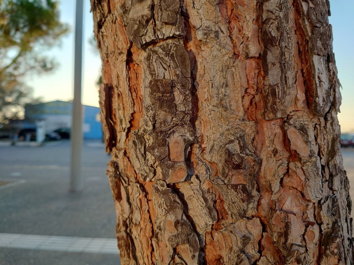 Sony Xperia 1 III Review: Τρομερή ναυαρχίδα σε μάλλον άστοχη τιμή Sony Xperia 1 III Review: Τρομερή ναυαρχίδα σε μάλλον άστοχη τιμή