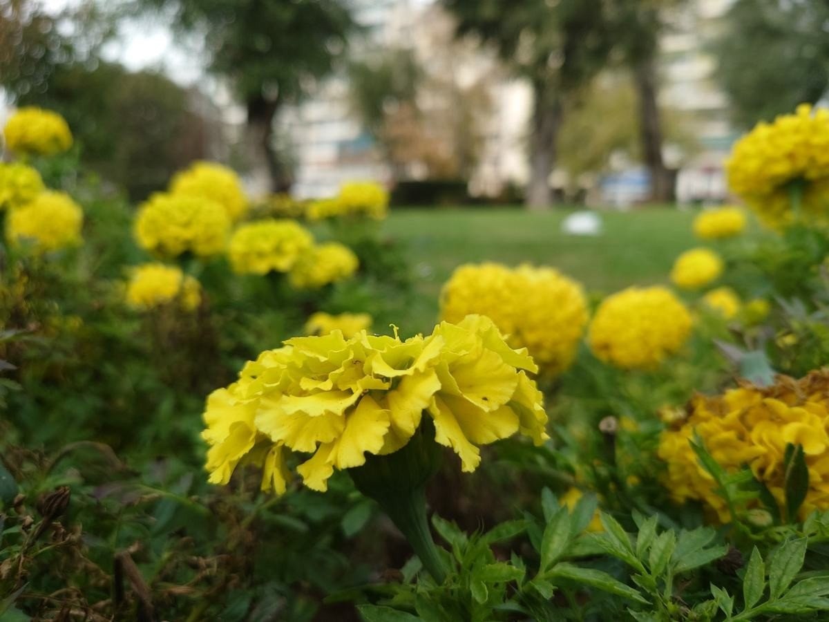 Sony Xperia 5 III Review: Μια πραγματική ναυαρχίδα σε compact μέγεθος Sony Xperia 5 III Review: Μια πραγματική ναυαρχίδα σε compact μέγεθος