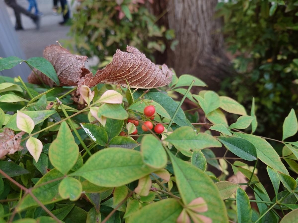 Sony Xperia 5 III Review: Μια πραγματική ναυαρχίδα σε compact μέγεθος Sony Xperia 5 III Review: Μια πραγματική ναυαρχίδα σε compact μέγεθος
