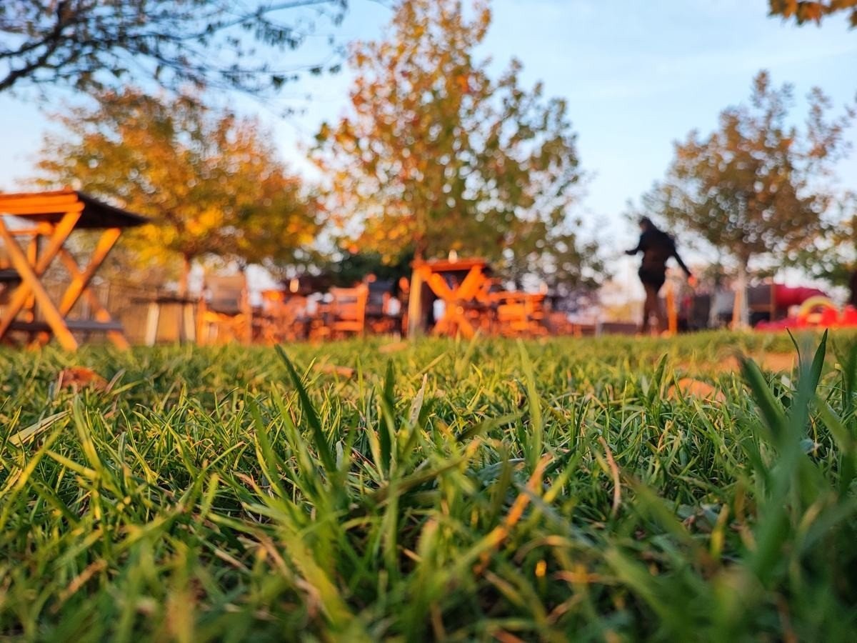 Xiaomi 11T Pro Review: Τρομερή οθόνη, υψηλές επιδόσεις και απίστευτα γρήγορη φόρτιση Xiaomi 11T Pro Review: Τρομερή οθόνη, υψηλές επιδόσεις και απίστευτα γρήγορη φόρτιση