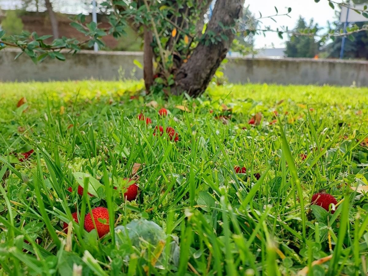 Xiaomi 11T Pro Review: Τρομερή οθόνη, υψηλές επιδόσεις και απίστευτα γρήγορη φόρτιση Xiaomi 11T Pro Review: Τρομερή οθόνη, υψηλές επιδόσεις και απίστευτα γρήγορη φόρτιση
