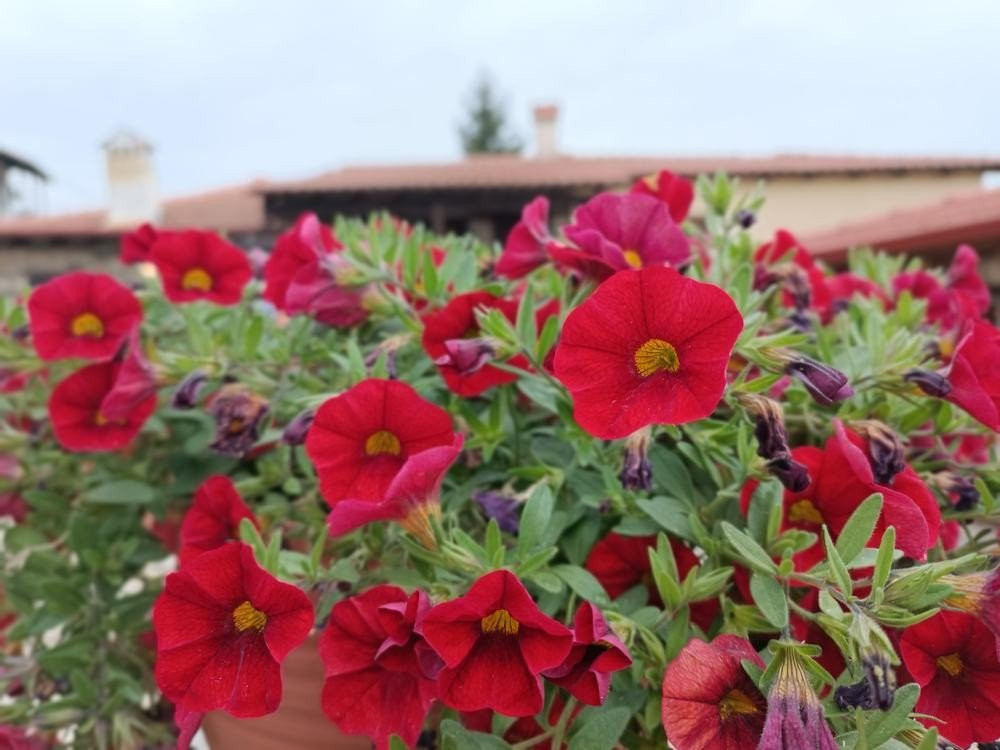 Redmi Note 11 Pro+ 5G Review: Ο ορισμός του value-for-money Redmi Note 11 Pro+ 5G Review: Ο ορισμός του value-for-money